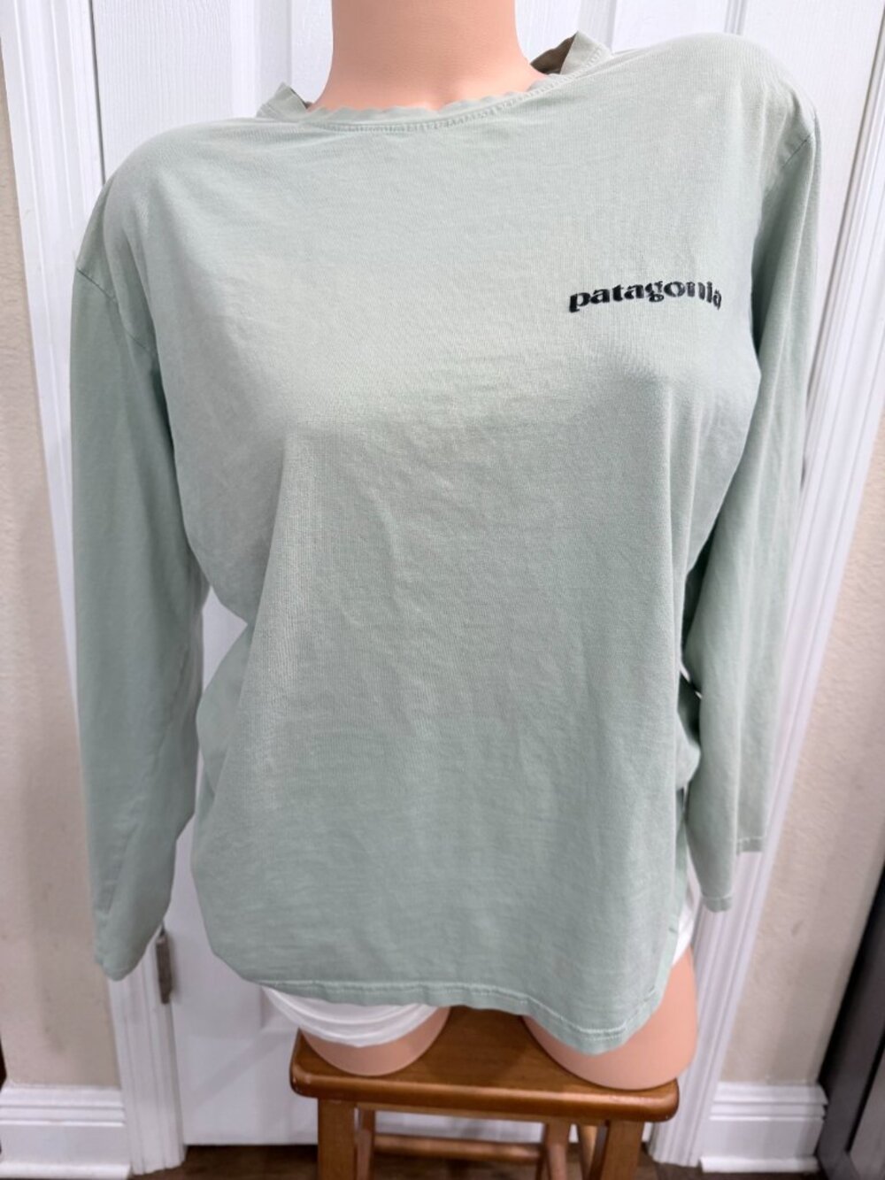 Patagonia 1973 Long Sleeve Graphic T Shirt Sage Green Distressed Adult L Read